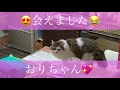 【猫と満月の夜】一目惚れしたコに会いに行ったら、キュン○しました😍