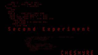 Second Experiment