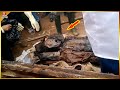 6 Most Shocking Archaeological Discoveries Recently Unearthed That Left Scientists Speechless