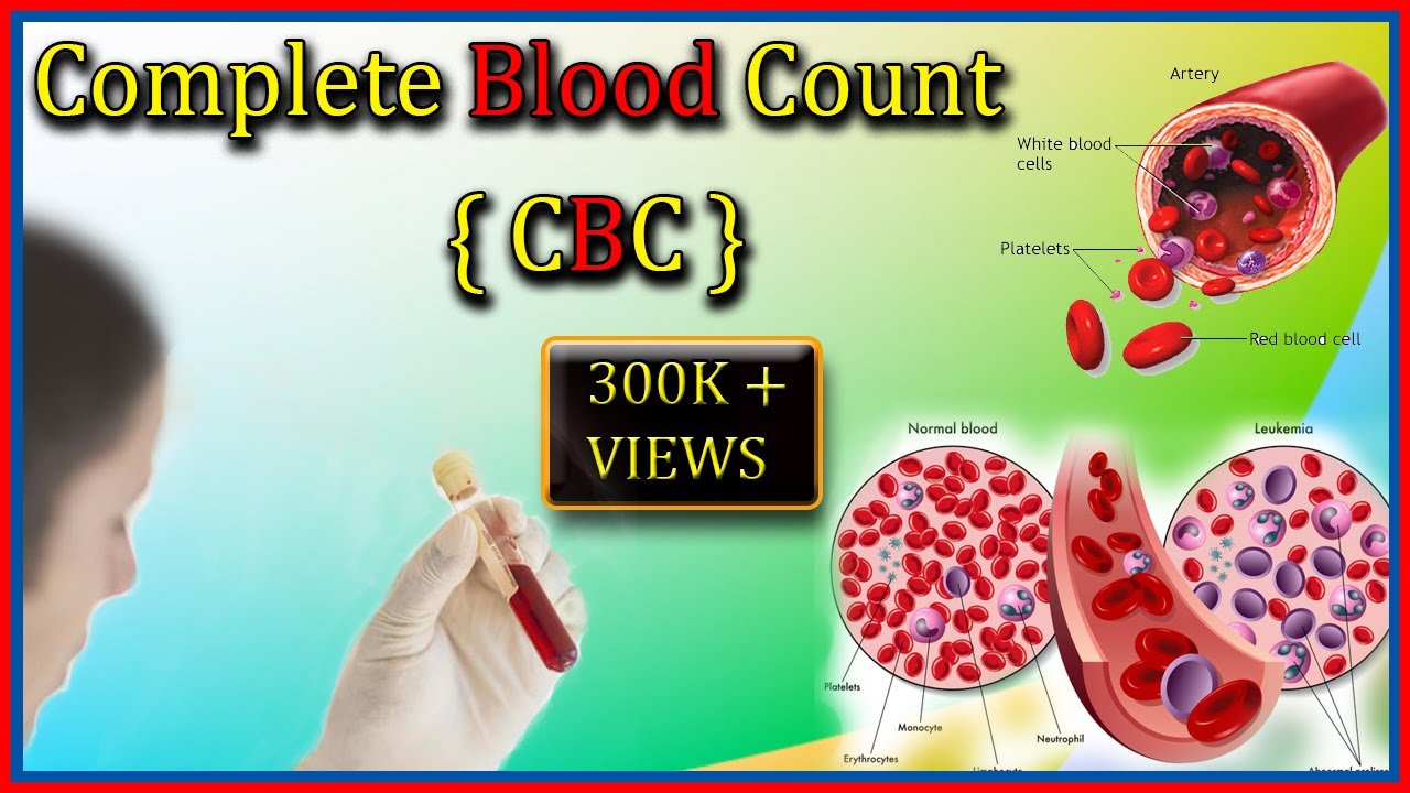 CBC Blood Test # Complete Blood Count Test, By Harib Diagnostic Lab ...