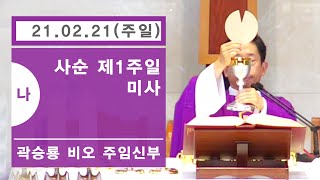 2월 21일 (주일) 오전 10시 30분 사순 제1주일 생방송 미사 - 시드니 대교구 한인 천주교회