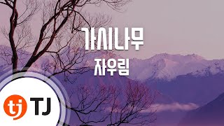 [TJ노래방] 가시나무 - 자우림 (Thorn Tree - Jaurim) / TJ Karaoke