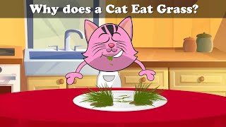 Why does a Cat Eat Grass? + more videos | #aumsum #kids #cartoon #science