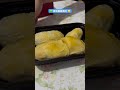 黑刺 榴槤 榴莲 durian 馬來西亞 malaysia food foodie foodielife delicious 來發記 食好西 食物 生果 日常 日常生活