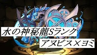 [パズドラ]　水の神秘龍　Sランク　アヌビス×ヨミ