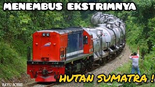 Kereta Api Menembus Hutan