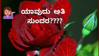 KANNADA STORY | ಯಾವುದು ಅತಿ ಸುಂದರ????