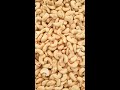 fresh fried cashew nuts shorts viral youtubeshorts trending ytshorts yummy