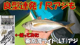 【アジ釣り】めちゃ気持ちいいアジ釣り 尺アジも 黒川丸（金沢八景）東京湾  2021/7/10 「極アジ」レビュー