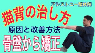 【猫背　治し方】猫背姿勢は、骨盤周囲の運動で簡単矯正！【神戸市　腰痛】【慢性腰痛専門整体院　アシストユー整体院】