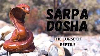 SARPA DOSHA | The curse of Reptile | Naga Dosha