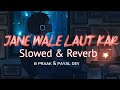 Jane Wale Laut Ker 💔😢 Full Song  (Slowed + Reverb) B praak And Payal Dev (Lofi Mix )