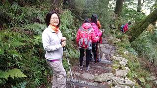 老大一族大雪山遊客中心慢走到小神木