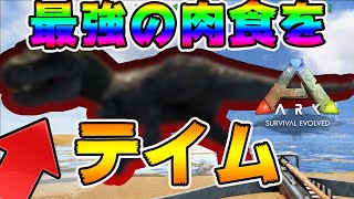 遂にあの最強の肉食恐竜をテイムしました！！【Ark: Survival Evolved,The Center】