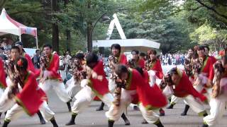 乱舞姫　よさこい光が丘2013　Yosakoi Festival　Ranbuhime