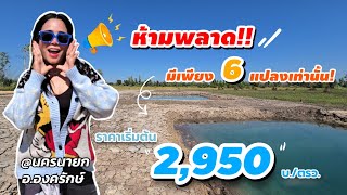 อัพเดทหน่อย 🏕 ที่ดินพร้อมสร้างบ้าน ขยายเขตไฟฟ้าแล้ว ราคาถูก 200 ตรว.