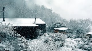 The first snow of this winter~ A Korean mountain village house in the middle of a snowstorm~!!