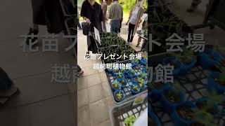 2024年6月1日、越前町立「福井総合植物園」創立記念日で花苗２ツ迄プレゼント。入場も無料。25ヘクタールの広大な丘陵地に自生，植栽あわせて3000種以上の植物を見ることができます。