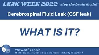 What Is A Csf Leak