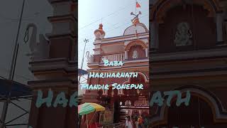 Karpur Gauram Song 🙏🙏 | Baba Hariharnath Mandir Sonepur 🔱🔱 | #shivbhajan #bholenath #shambhu