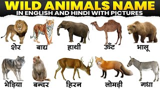 Wild Animals  Name ,20 Wild animals with pictures, जंगली जानवरों के नाम हिंदी और इंग्लिश ,New video