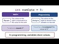 Assignment Statements
