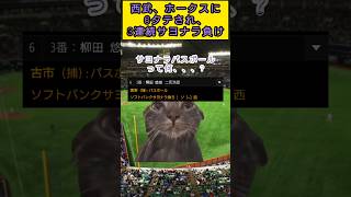 [プロ野球]山川に満塁弾を打たれた次の対決でで3試合連続サヨナラ負けをしてしまった時の西武ファン#プロ野球 #猫ミーム #cat #野球 #埼玉西武ライオンズ #福岡ソフトバンクホークス