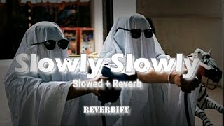 Slowly Slowly - Slowed & Reverb ( Go Goa gone ) || Bollywood Song ||