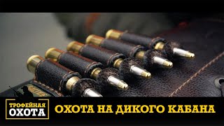 Охота на Дикого Кабана | Трофейная охота №48