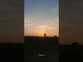 sunset at yan kedah asmr sunset nature beautiful shorts yan kedah