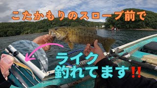 【桧原湖バス釣り】2023/8/27ワカサギ食いが本格化〜秋のシューティングゲーム〜