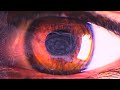 Nihil Young, Beacon Bloom - A New Kind