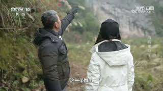 《地理·中国》 20240101 五岭逶迤1|CCTV科教