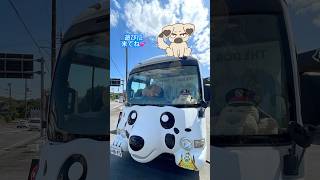 【愛犬の駅】わんこと楽しめるサービスが充実！#伊豆高原  # #旅行 #犬とお出かけ