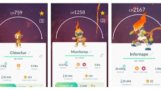 Infernape evolution | chimchar max evolution | fire/fighting pokemon | pokemon go |