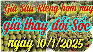 giá sầu riêng hôm nay ngày 10/1/2025