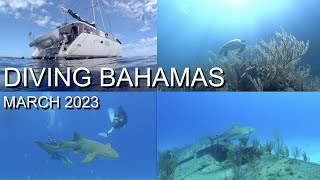 Diving Bahamas in 4K and HD