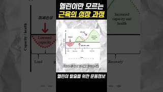 헬린이만 모르는 근육의 성장과정!?