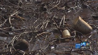 Special Report: Lakefront serenity turns into costly nightmare