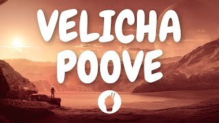 | Velicha Poove ( Lyric Video ) | Ethir Neechal | Butter Skotch |