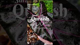 surah quraysh | surah al quraish | سورۃ قریش کی خوبصورت تلاوت