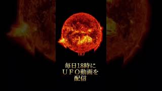 これはＵＦＯなのか⁉️UMAなのか⁉️