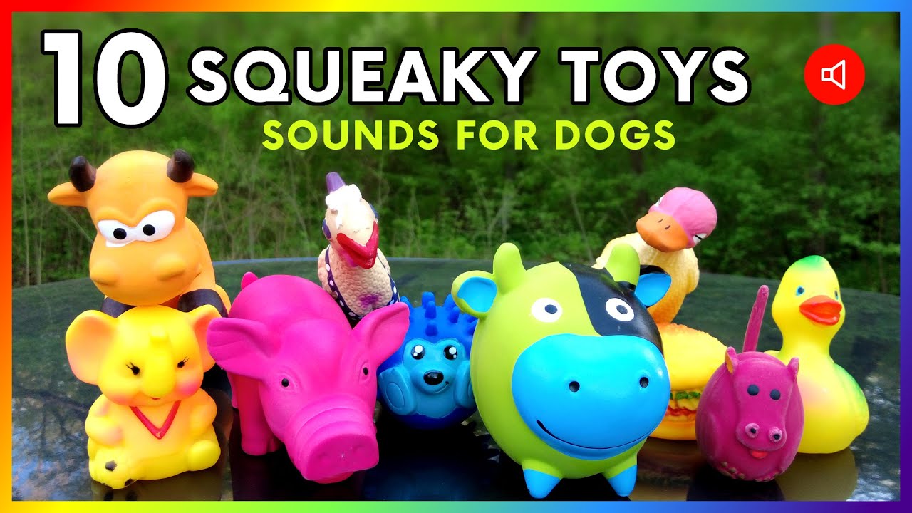 рџђ 10 Dog Toys Squeaky Toy Sounds For Dogs Youtube