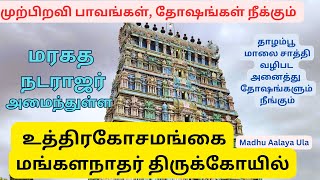 முற்பிறவி பாவங்கள், தோஷங்கள் நீக்கும் கோயில் || மரகத நடராஜர் உள்ள கோயில் || மங்களநாதர் திருக்கோயில்