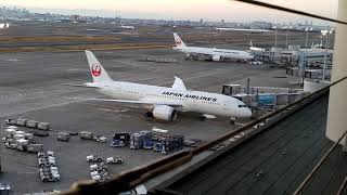 羽田空港 第1ターミナル JAL b787-8とb777-200