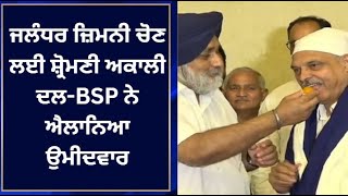 ਜਲੰਧਰ ਜ਼ਿਮਨੀ ਚੋਣ ਲਈ ਸ਼੍ਰੋਮਣੀ ਅਕਾਲੀ ਦਲ-BSP ਨੇ ਐਲਾਨਿਆ ਉਮੀਦਵਾਰ