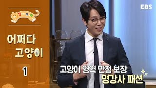 고양이를 부탁해 - 어쩌다 고양이-2부 은밀한 한국냐사_#001