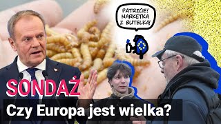 Czy Europa jest wielka? W czym jest wielka?