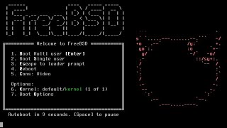 安裝 FreeBSD 13.1 ( Install FreeBSD 13.1 )