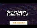 numpy array string to float
